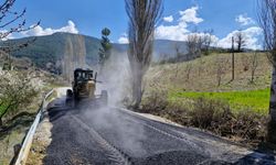 Aydın'ın tüm ilçelerinde yol yapım ve yenileme çalışmaları sürüyor