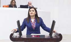 CHP'li Kılıç'tan Bakan Gürlek'e soru önergesi!