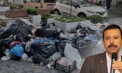 AK Partili Kaya’dan ‘çöp’ çıkışı: Nedeni CHP’li belediyelerin iç kavgası!