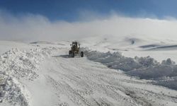 Doğuda "kış" sürüyor: 317 yol ulaşıma kapandı