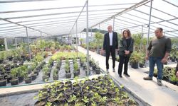 Kentin çiçeği Karşıyaka’nın serasında büyüyor