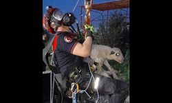 20 metrelik kuyudan mucize kurtuluş!