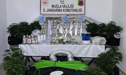 Muğla'da narkotik operasyonları: 12 tutuklama