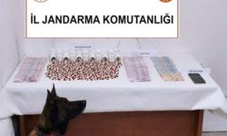 Muğla'da uyuşturucu operasyonları: 3 tutuklama