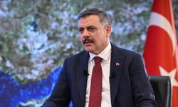 Bakan Çiftçi'den sahipsiz hayvanlara ilişkin açıklama: Tavizsiz ve zaruri