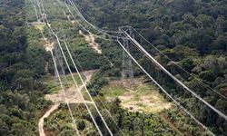 GDZ Elektrik’ten orman yangını önlemleri: "Hayati koridor"da temizlik tamam!