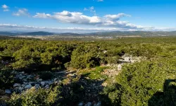 DEM’den Yamanlar çıkışı: Katliam olur!