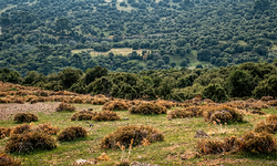 CHP'den 'Yamanlar' tesisi için net duruş:  Karşıyaka'nın havası değişir!
