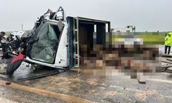 Koyun yüklü kamyonet ile otomobil çarpıştı: 2 ölü!