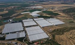 Bakanlık'tan Ege'ye özel paket: Hangi il/ hangi teşviği alacak?