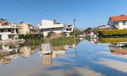 Dikili’de su baskını kronikleşti: Muhtar sitem etti!