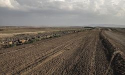 Ziraat Odası Başkanı’ndan ‘boş arazi’ sitemi: Kamu arazileri de boş kalmasın!