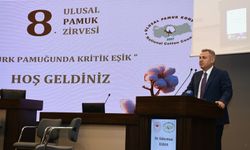 Vali Elban’dan Pamuk Zirvesi’nde uyarı: Yüzde 40’ın altı üretim alarm demek!
