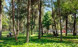 İzmir'de bahar etkisi: Vatandaşlar kendini parklara attı