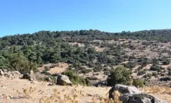 Yamanlar Muhtarı'ndan çöp tesisine tepki: Ayaklanırız!