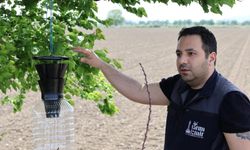 Çiftçinin alın teri erken mücadeleyle korunuyor