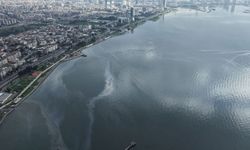 İzmir Körfezi kızardı: Balık ölümleri ve koku ihtimali!