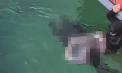 Eski astsubay suda ölü bulundu