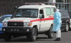 Hollanda'da bir kabin memuru hantavirüs şüphesiyle hastaneye kaldırıldı