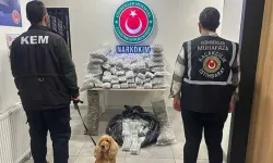 Bakanlık duyurdu: 659 kilo 'zehir' ele geçirildi