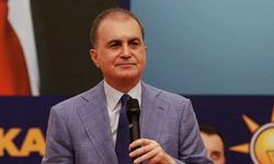 Çelik: Türkiye'miz dünyanın barış adası