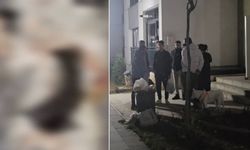 Vahşet : Sitede 4 yavru kedi parçalanarak öldürüldü iddiası