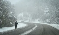 2 gün daha kış... Sonra bahar geliyor!