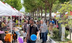 Aydın Söke’de kültür festivali renkli başladı