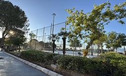 Konak'ta tenis kortu için ağaç kesimi iddiası!