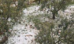 Manisa'da şiddetli sağanak ve dolu!