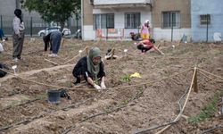 Avrupa’dan Bornova’ya kent bostanı incelemesi