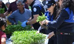 Büyükşehir’den Salihlili üreticilere 34 bin sebze fidesi