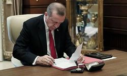 Erdoğan imzaladı: 23 ildeki bazı alanlar orman sınırları dışına çıkarıldı