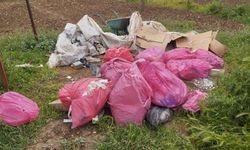 Özel hastaneye 47 milyon 206 bin lira çevre cezası