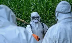 DSÖ'den Ebola açıklaması: Bölgesel risk yüksek