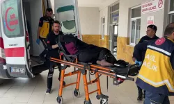 'İneğin bostanıma girdi' kavgası: 1 ölü, 3 yaralı