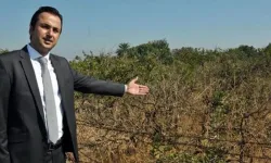 İNGEDER’den TMMOB’a karşı çağrı: Popülizm değil, çözüm üretin