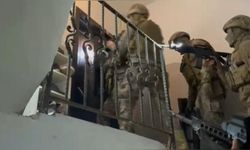 Suç örgütü operasyonu: 16 kişi yakalandı