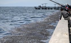 Uzmanlardan İzmir Körfezi raporu... 8 maddelik acil eylem planı!