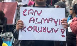 Köpeği öldüren şahıs tutuklandı