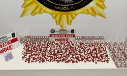 Muğla’da uyuşturucuya geçit yok: 1348 hap ele geçirildi