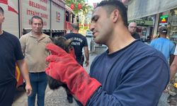 Kaputtan kaputa kaçan kedi operasyonu