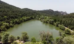 Karagöl'e komşu RES'e bakanlık vetosu!