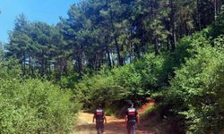 Muğla'da ormanlara giriş yasağı!
