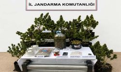 Muğla'da uyuşturucu operasyonları: 9 tutuklama