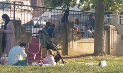 Mangal keyfi pahalıya patladı