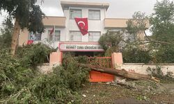 Şanlıurfa'nın iki ilçesinde eğitime 4 gün ara