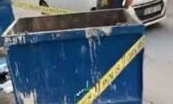 İzmir'de kedi katliamı: 33 can kaybı!