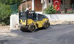 Maydonoz Koyu’nda asfalt çalışması