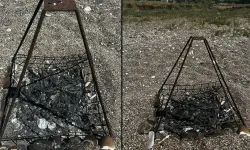 Deniz kaplumbağası koruma demirinin ortasında ateş yaktılar; inceleme başlatıldı